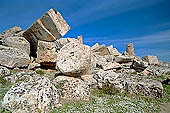 Selinunte the temple hill. Temple G (VI-V c BC), dedicated to Apollo it is one of the largest Greek temples ever attempted. Ruins are left on the ground in a gigantic and fascinating heap of ruins. 